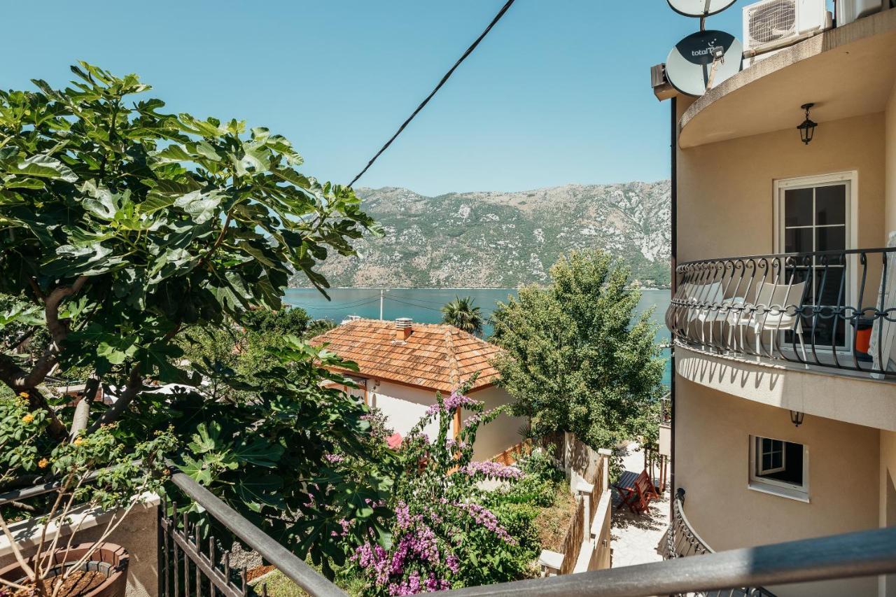 Apartments Cosovic Κότορ Εξωτερικό φωτογραφία